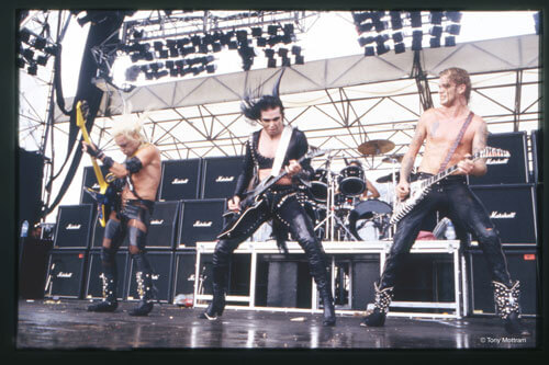 W.A.S.P.-Landsacpe